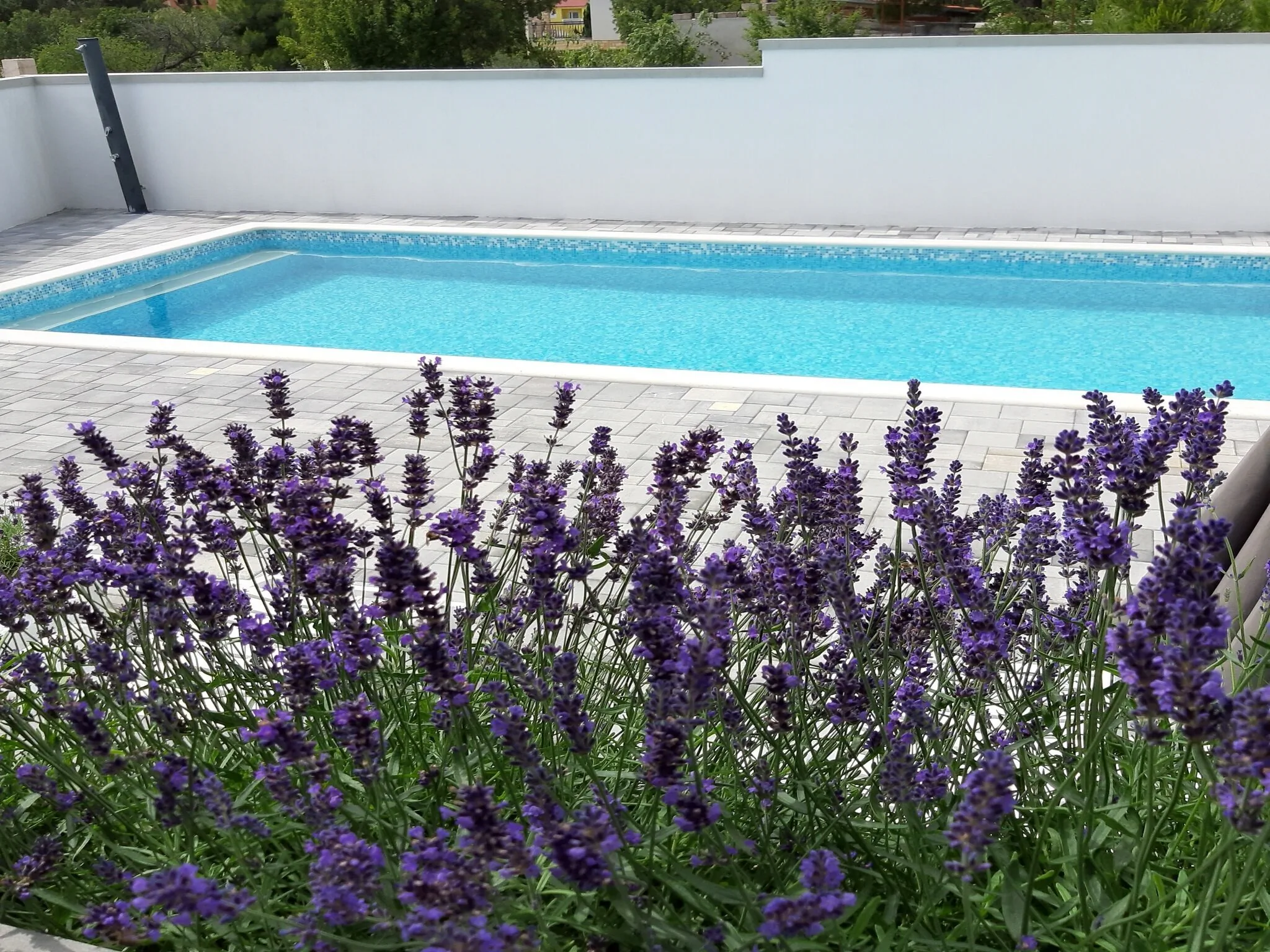 Apartments Grandevista-with swimmingpool Seline – Seline, Croația