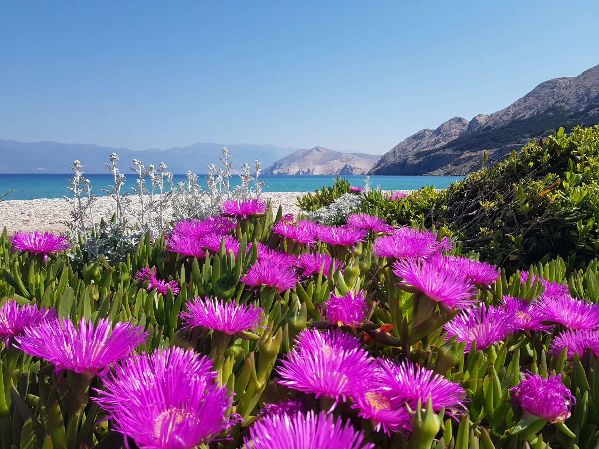 Apartments Nara Brnic Baška – Baška, Croația