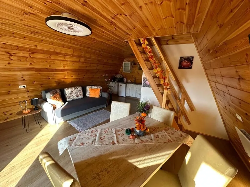 Cabana Liniștea Muntilor Cârţişoara - foto 9