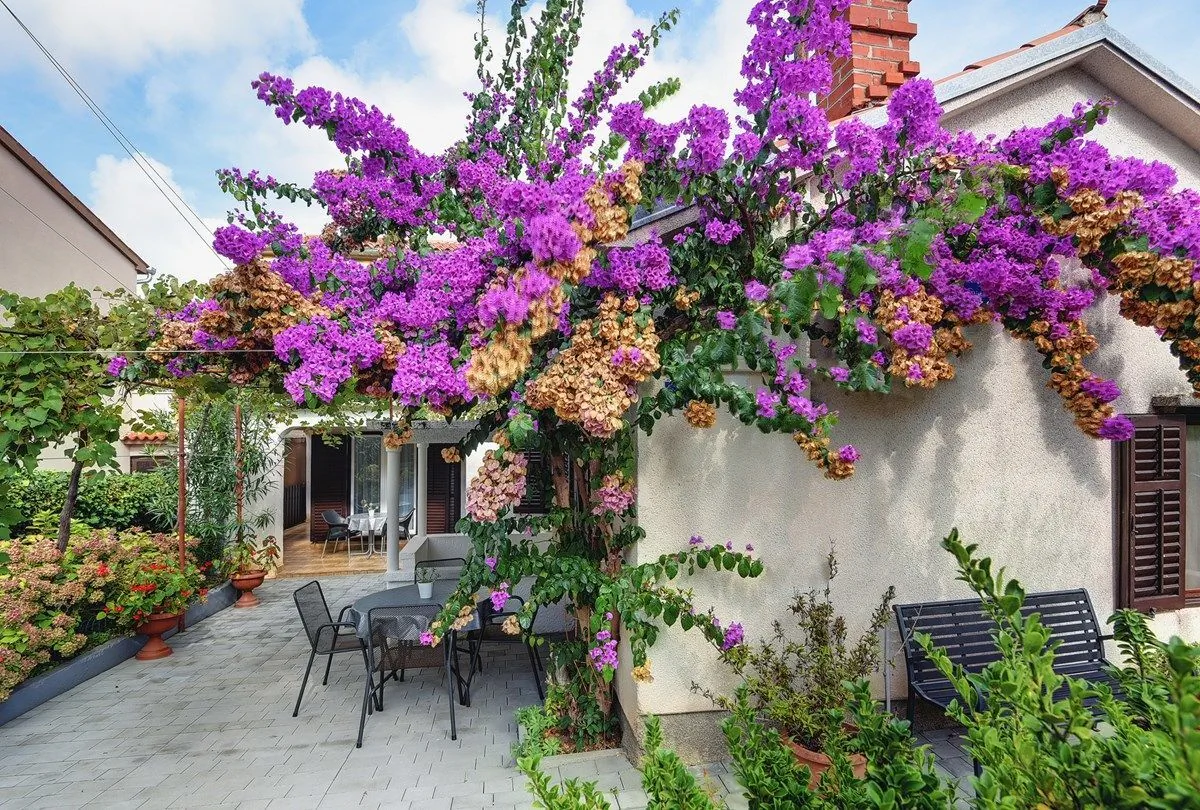 Casa Aurora Pomer - foto 2