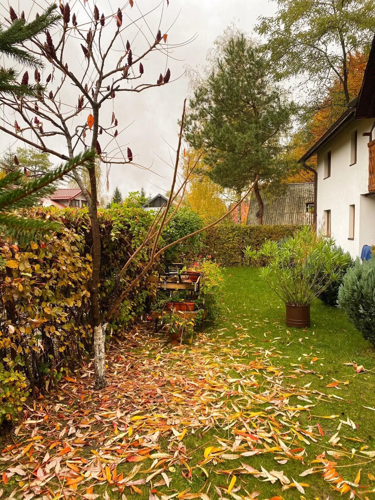 Cabana Tudor Avrig – Avrig, Rumunsko