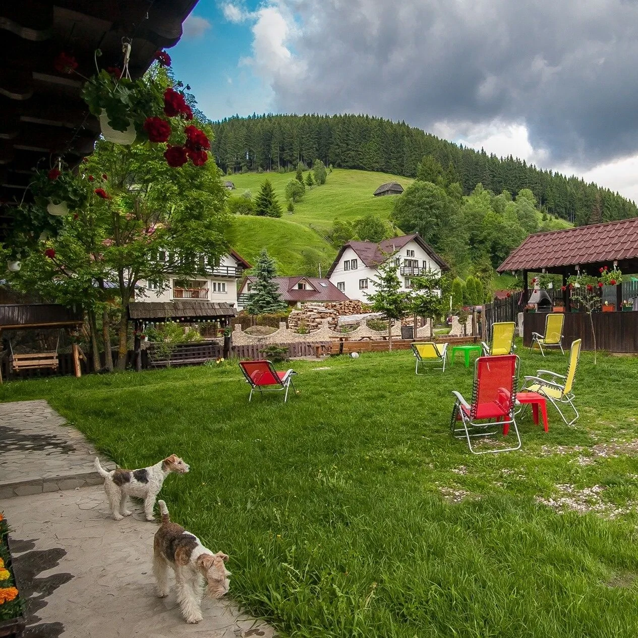 Casa Tara Moieciu de Sus – Moieciu de Sus, România