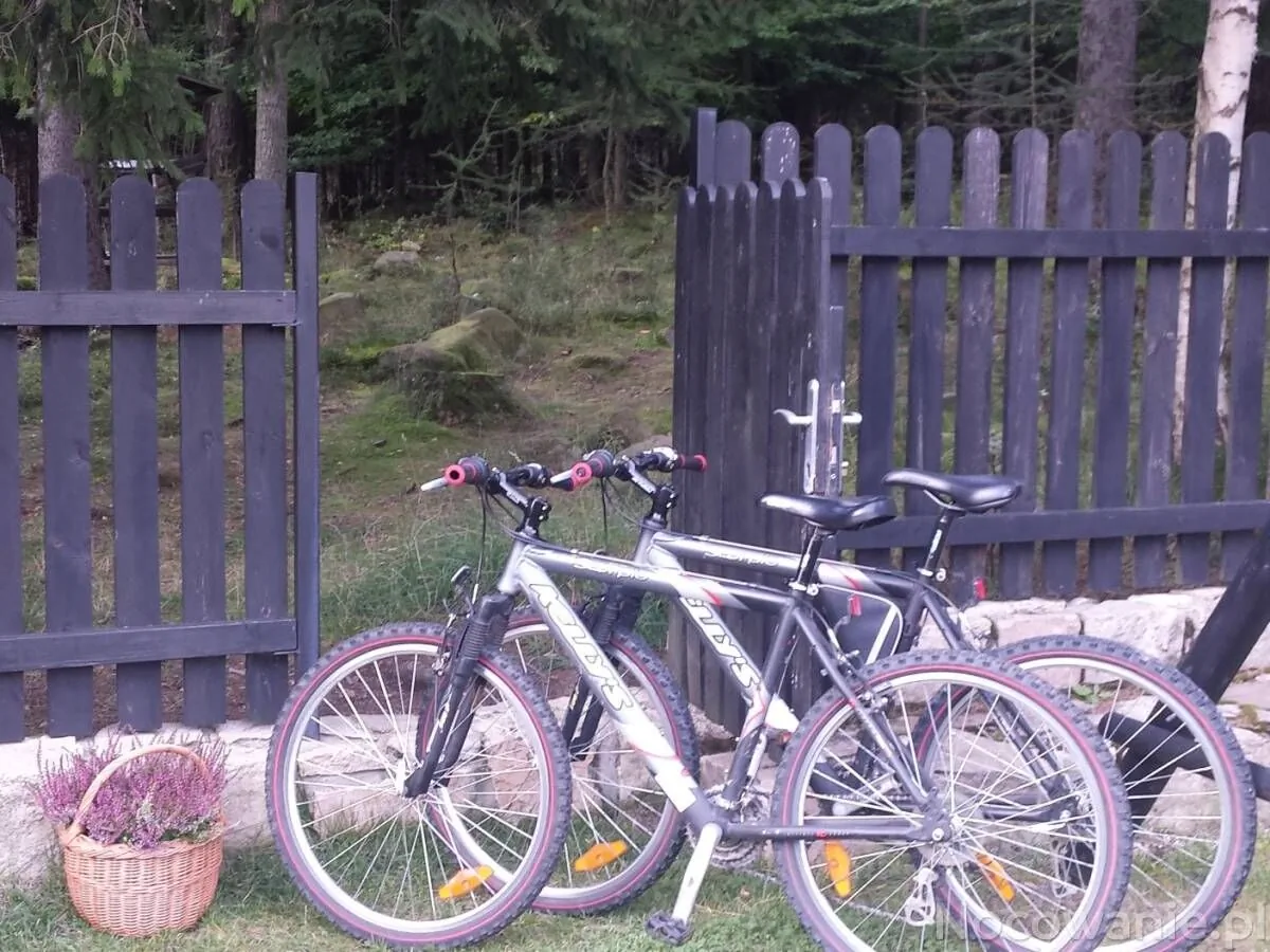 Willa Pod Lasem Szklarska Poręba – Szklarska Poręba, Polonia