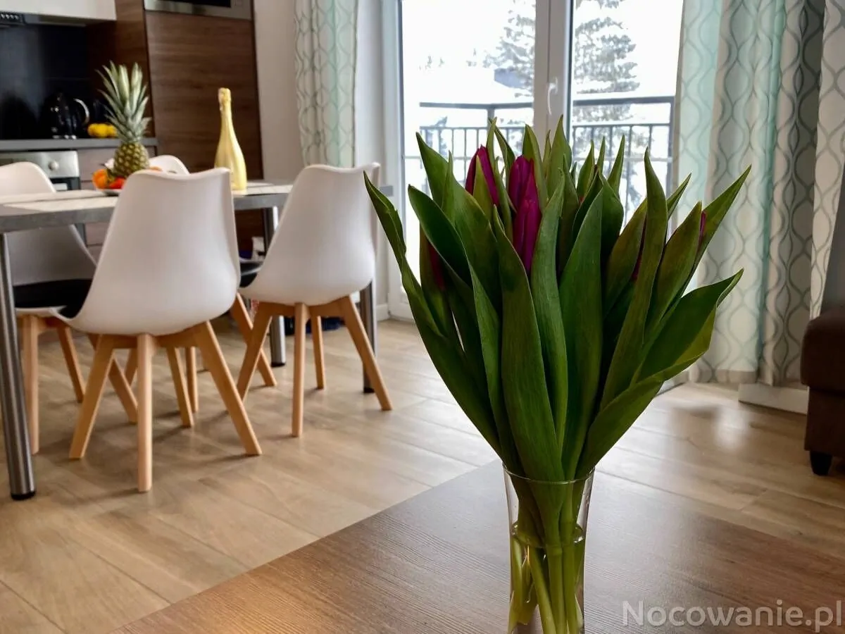 Apartament Prestige Szklarska Poręba – Szklarska Poręba, Polska