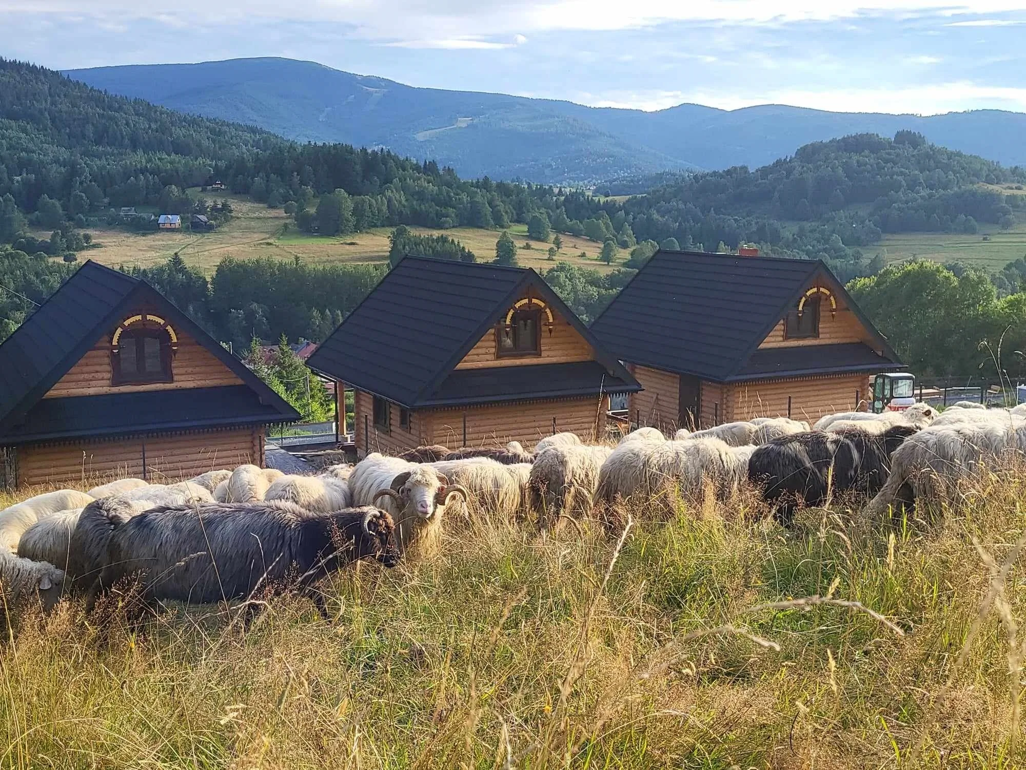 Chaty pod Pilskiem Krzyżówki – Krzyżówki, Polonia