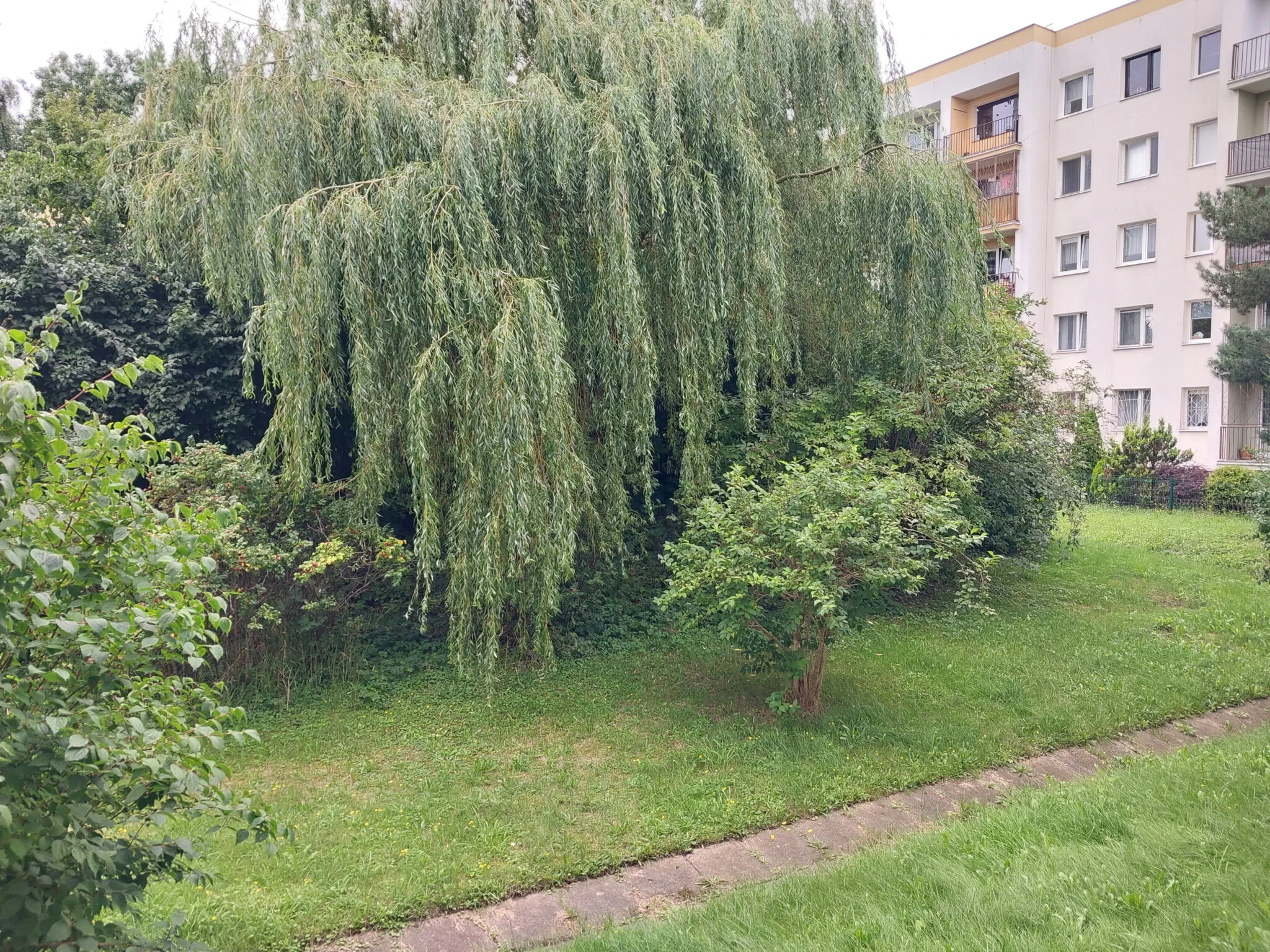 Willow Gdynia – Gdynia, Polska