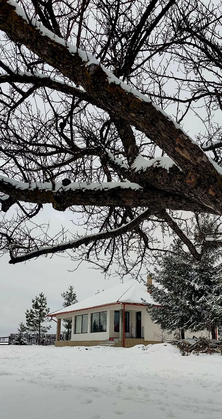 Casa de oaspeți Kavicsház Vlăhiţa – Vlăhiţa, România