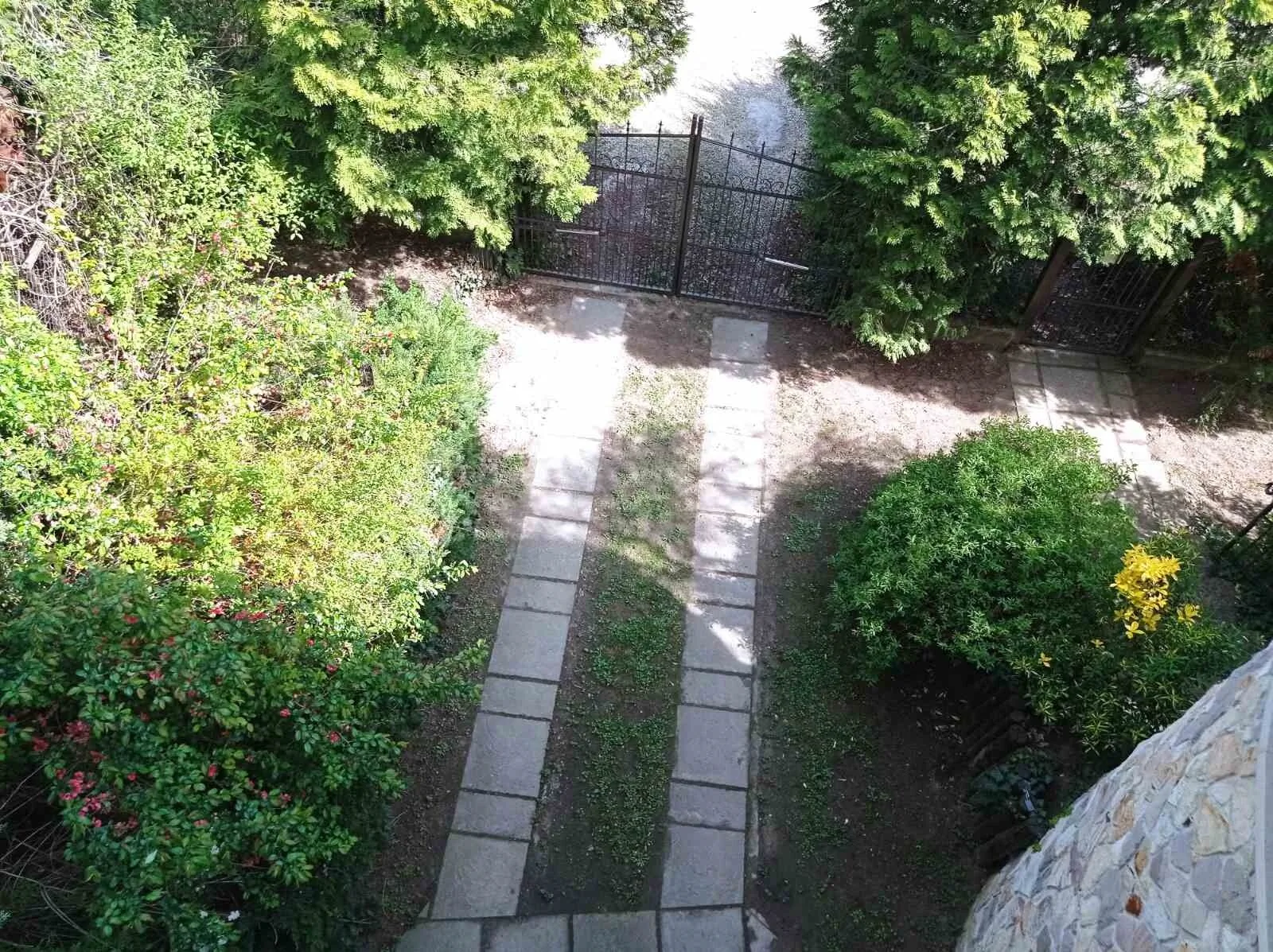 Fenyves Villa Gödöllő - foto 5