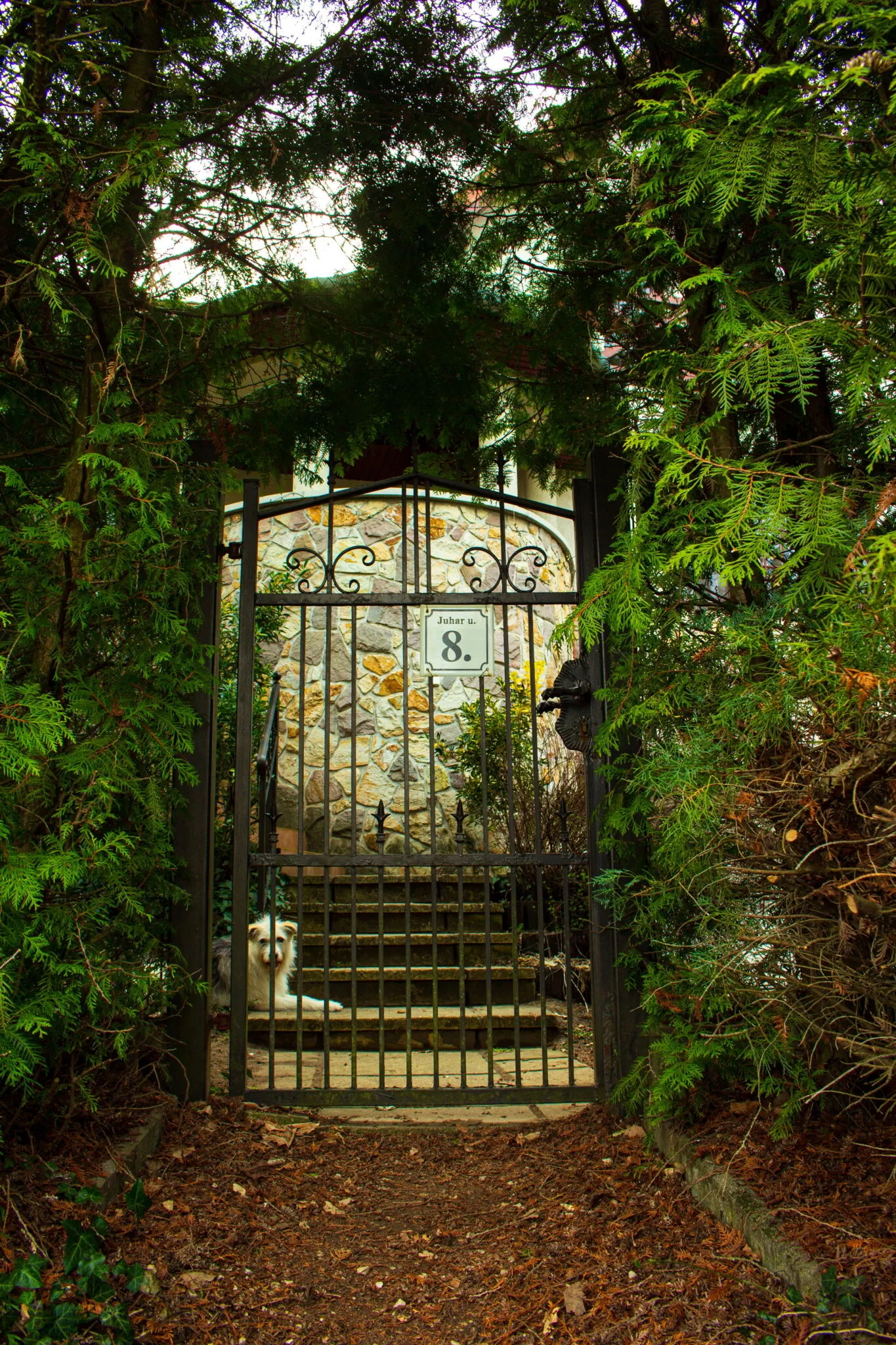Fenyves Villa Gödöllő - foto 6