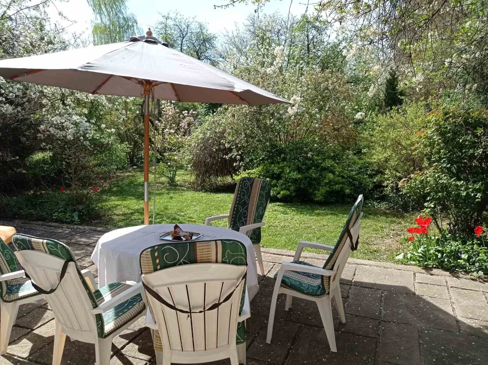 Fenyves Villa Gödöllő - foto 8