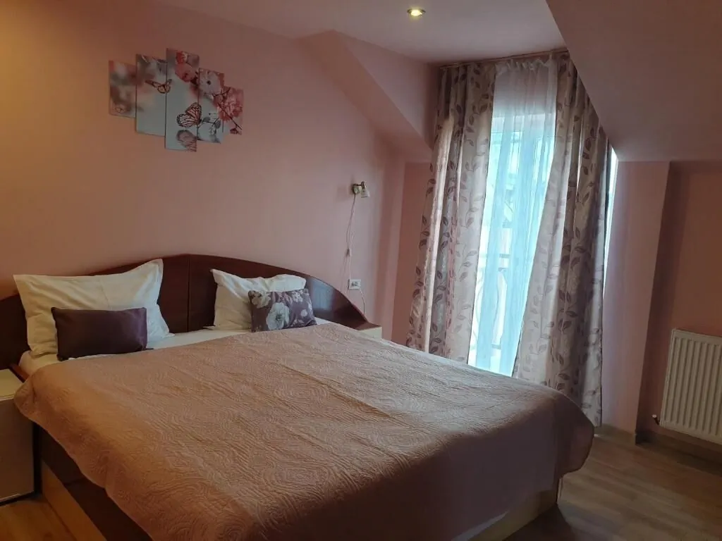 Pensiunea Vila Dana Cluj-Napoca – Kluż-Napoka, Rumunia
