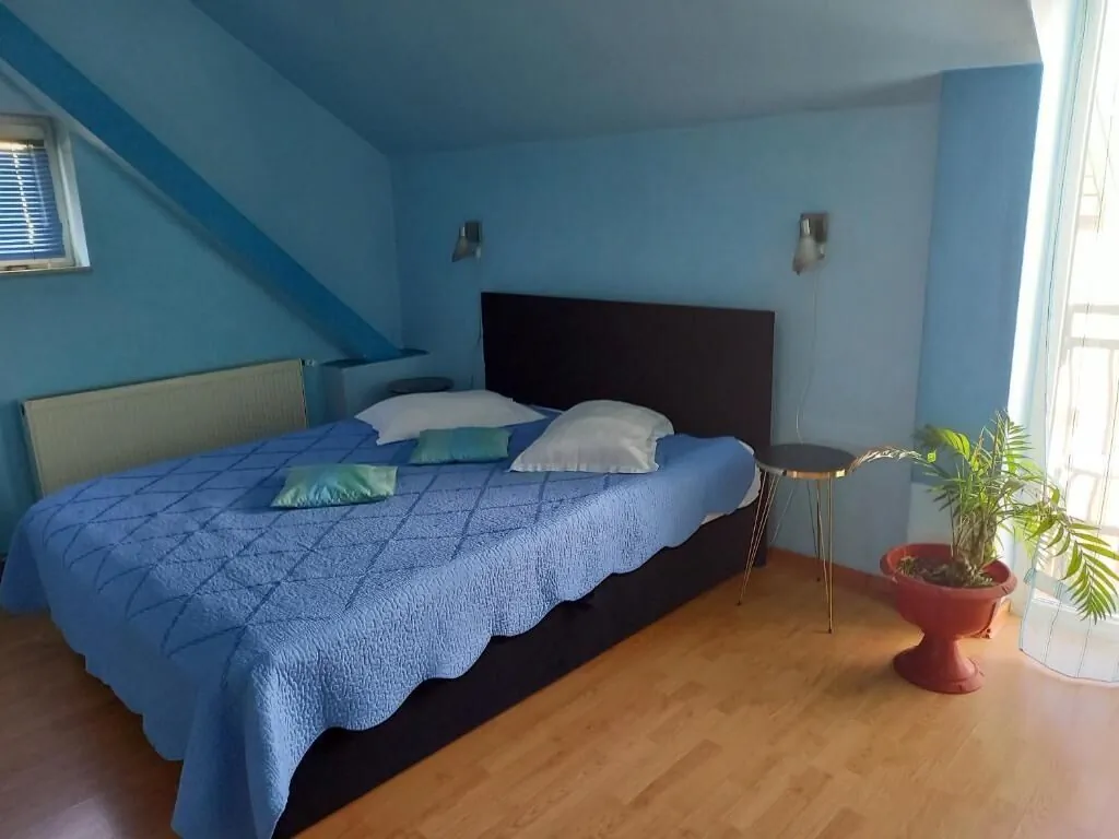 Pensiunea Vila Dana Cluj-Napoca – Kluż-Napoka, Rumunia