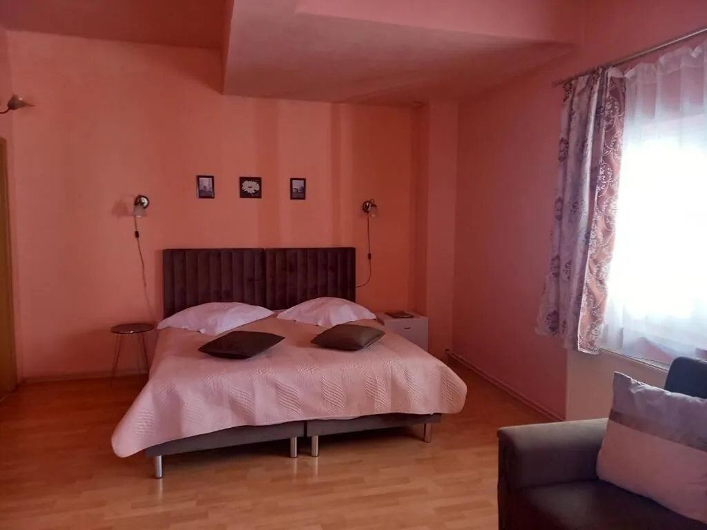 Pensiunea Vila Dana Cluj-Napoca – Kluż-Napoka, Rumunia