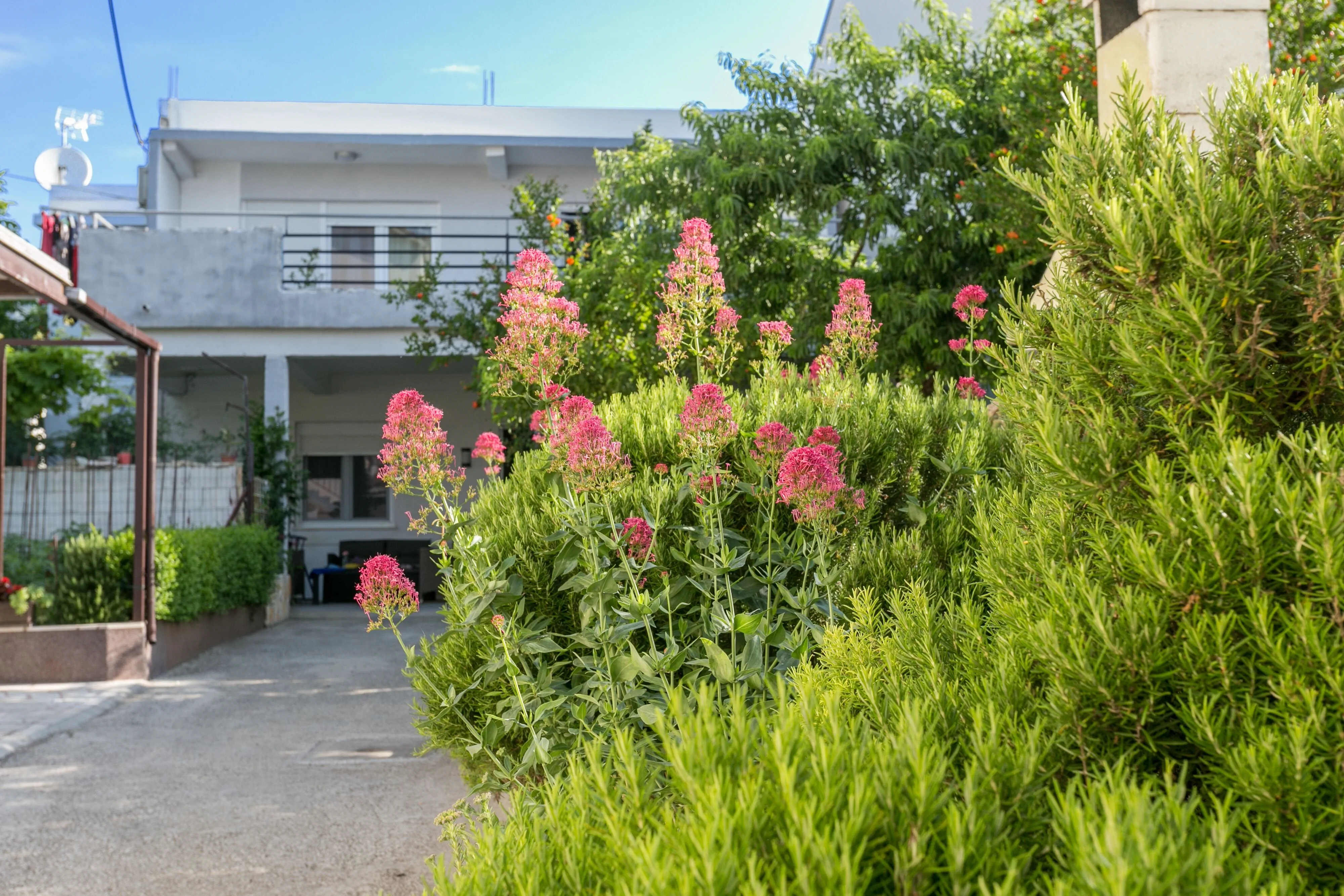 Apartments By The Sea Kaštel Kambelovac, Kaštela - 20605 Kaštel Kambelovac - foto 3