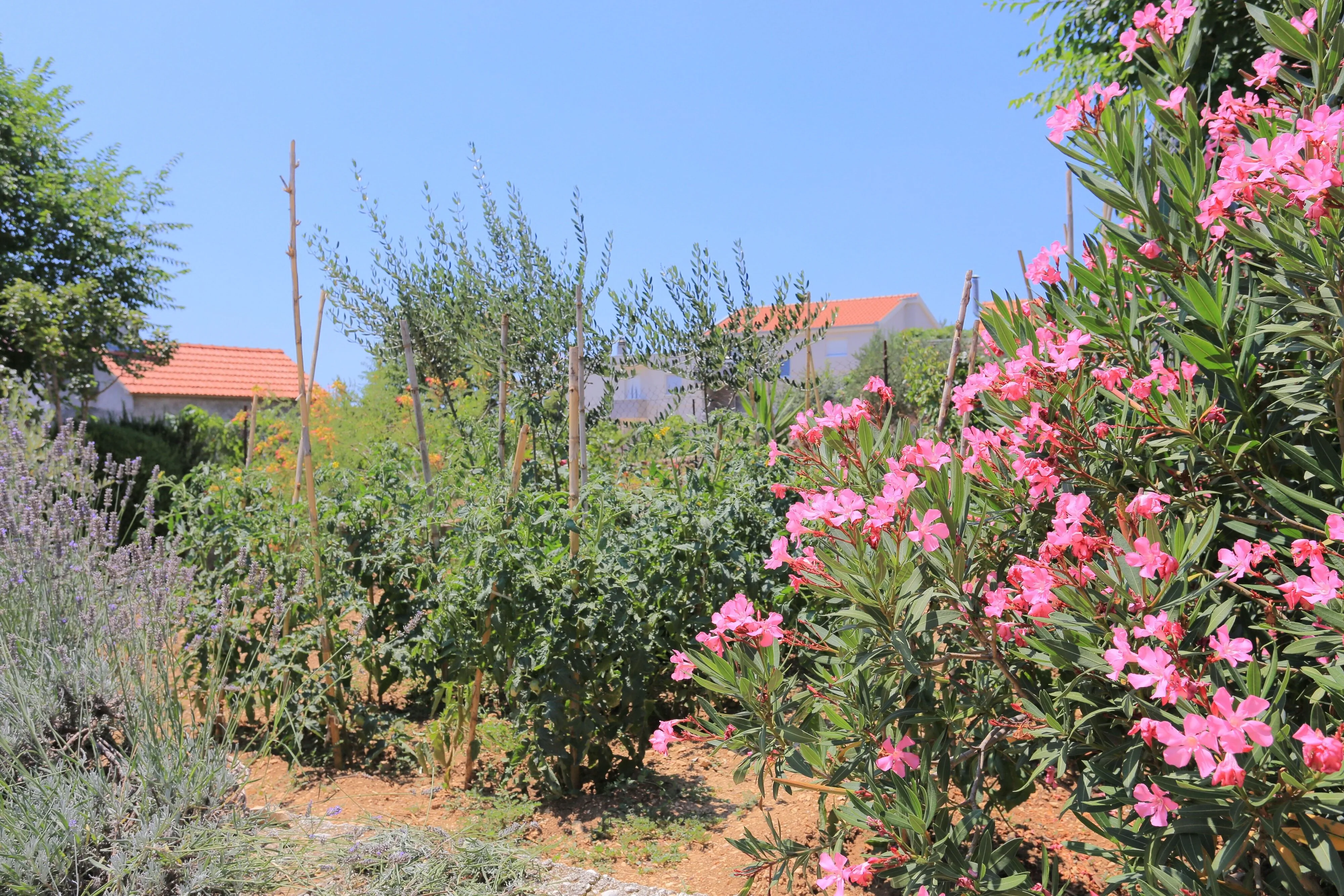 Holiday House With A Parking Space Kaštel Štafilić, Kaštela - 21506 Kaštel Štafilić – Kaštel Štafilić, Croația