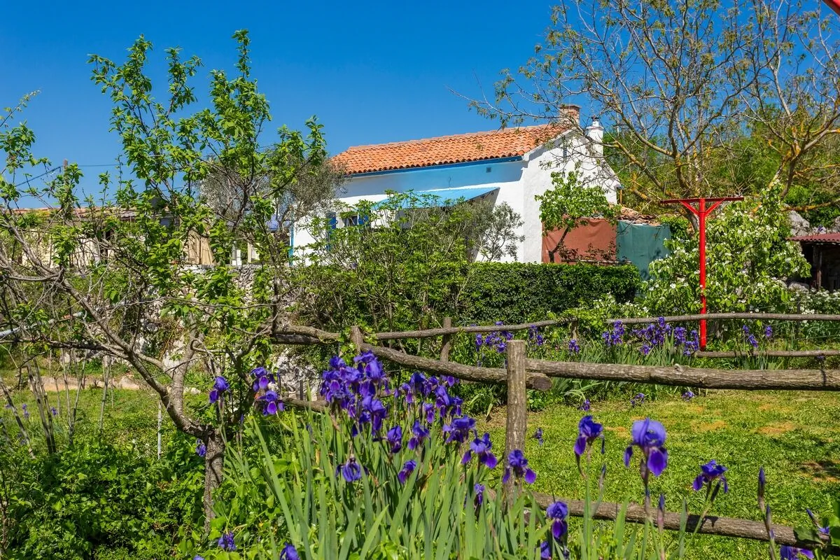 Family Friendly House With A Swimming Pool Vinež, Labin - 22240 Vinež – Vinež, Croația