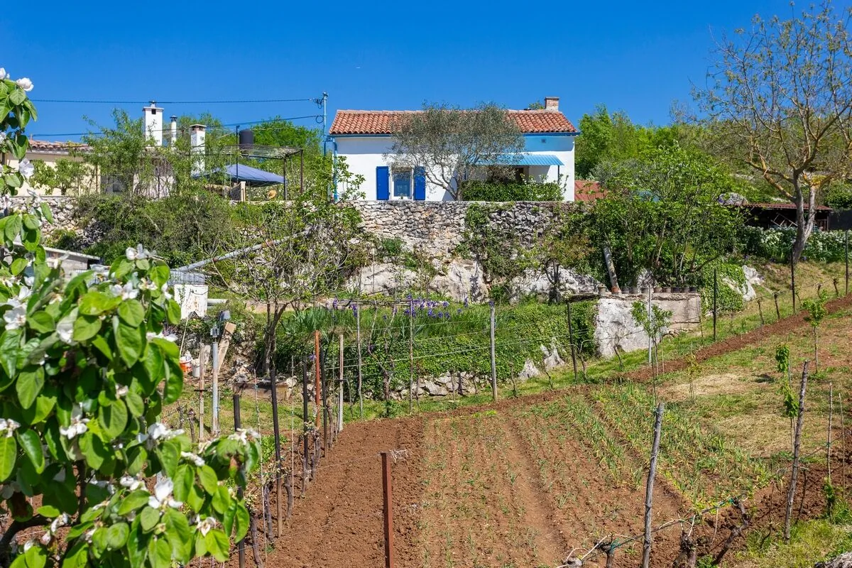 Family Friendly House With A Swimming Pool Vinež, Labin - 22240 Vinež – Vinež, Croația