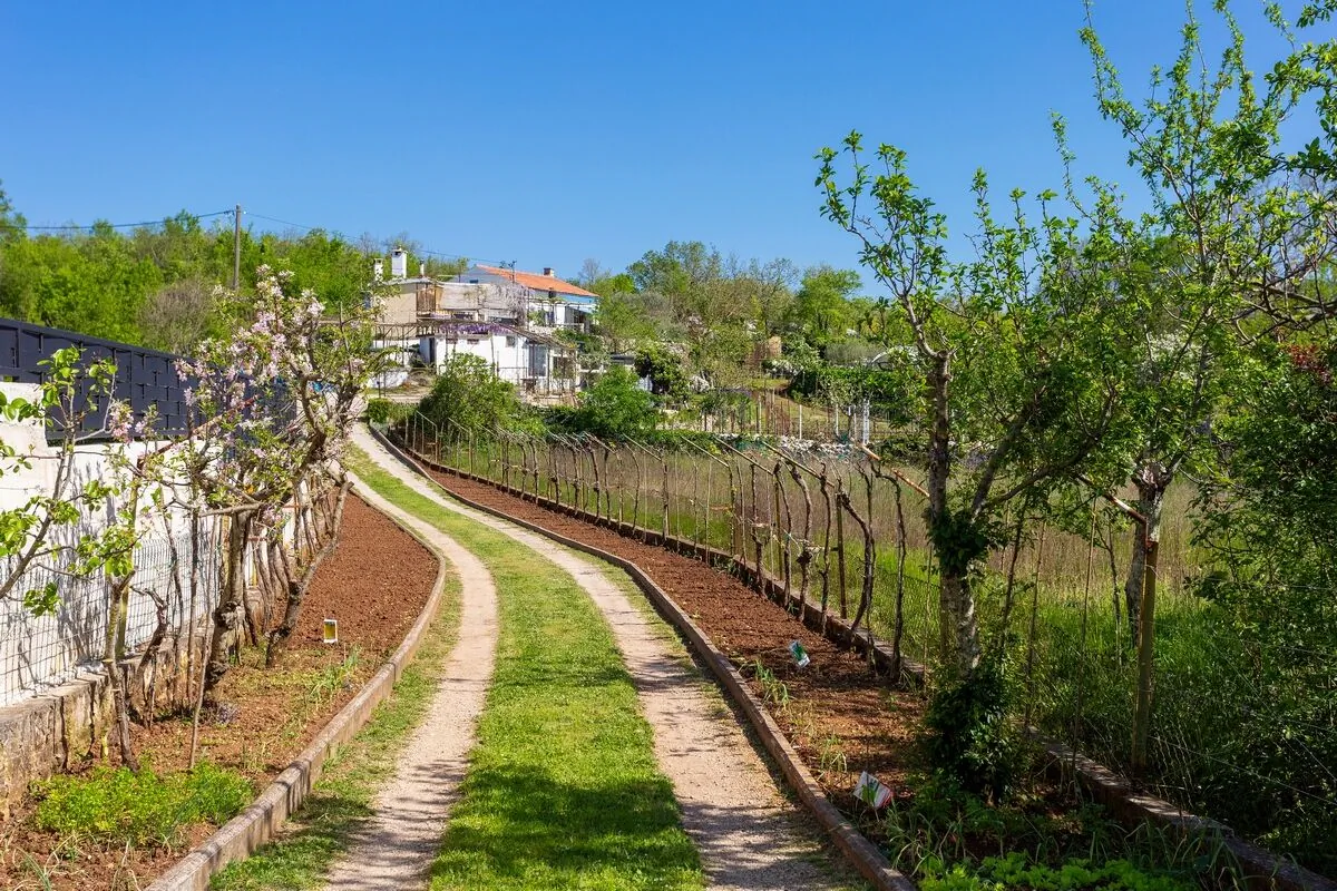 Family Friendly House With A Swimming Pool Vinež, Labin - 22240 Vinež – Vinež, Croația