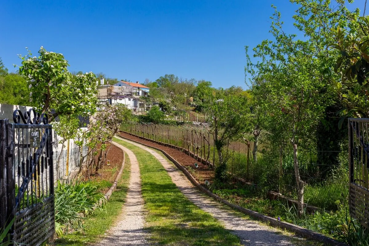Family Friendly House With A Swimming Pool Vinež, Labin - 22240 Vinež – Vinež, Croația