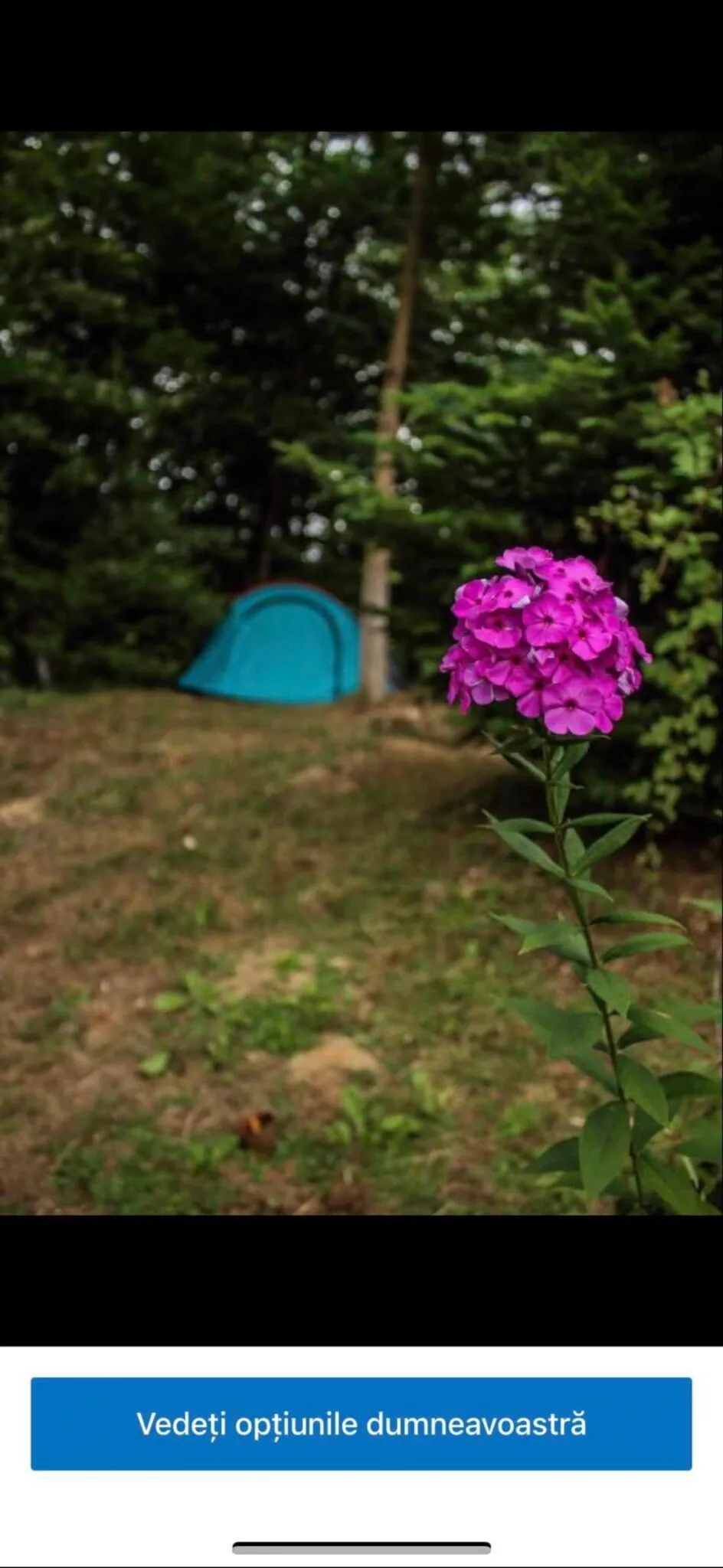 Camping La Balta Vadu Crişului – Vadu Crişului, Rumunsko