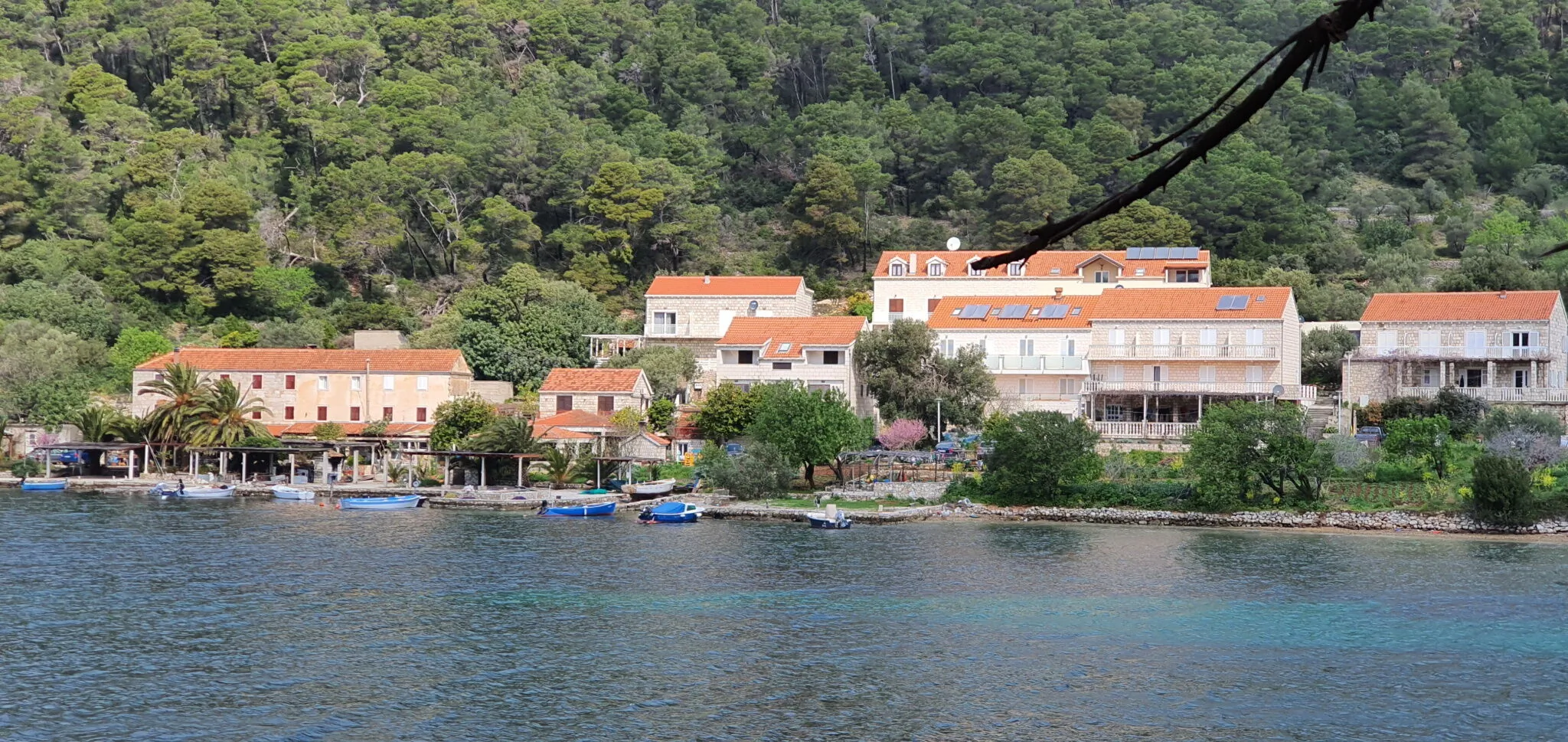 Apartmani Pjevalo Mljet – Goveđari, Chorwacja