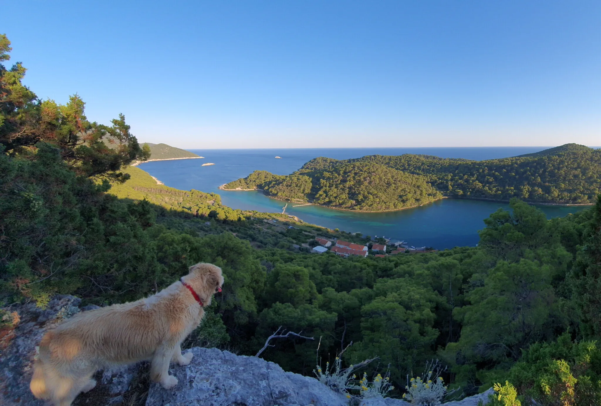 Apartmani Pjevalo Mljet – Goveđari, Chorwacja