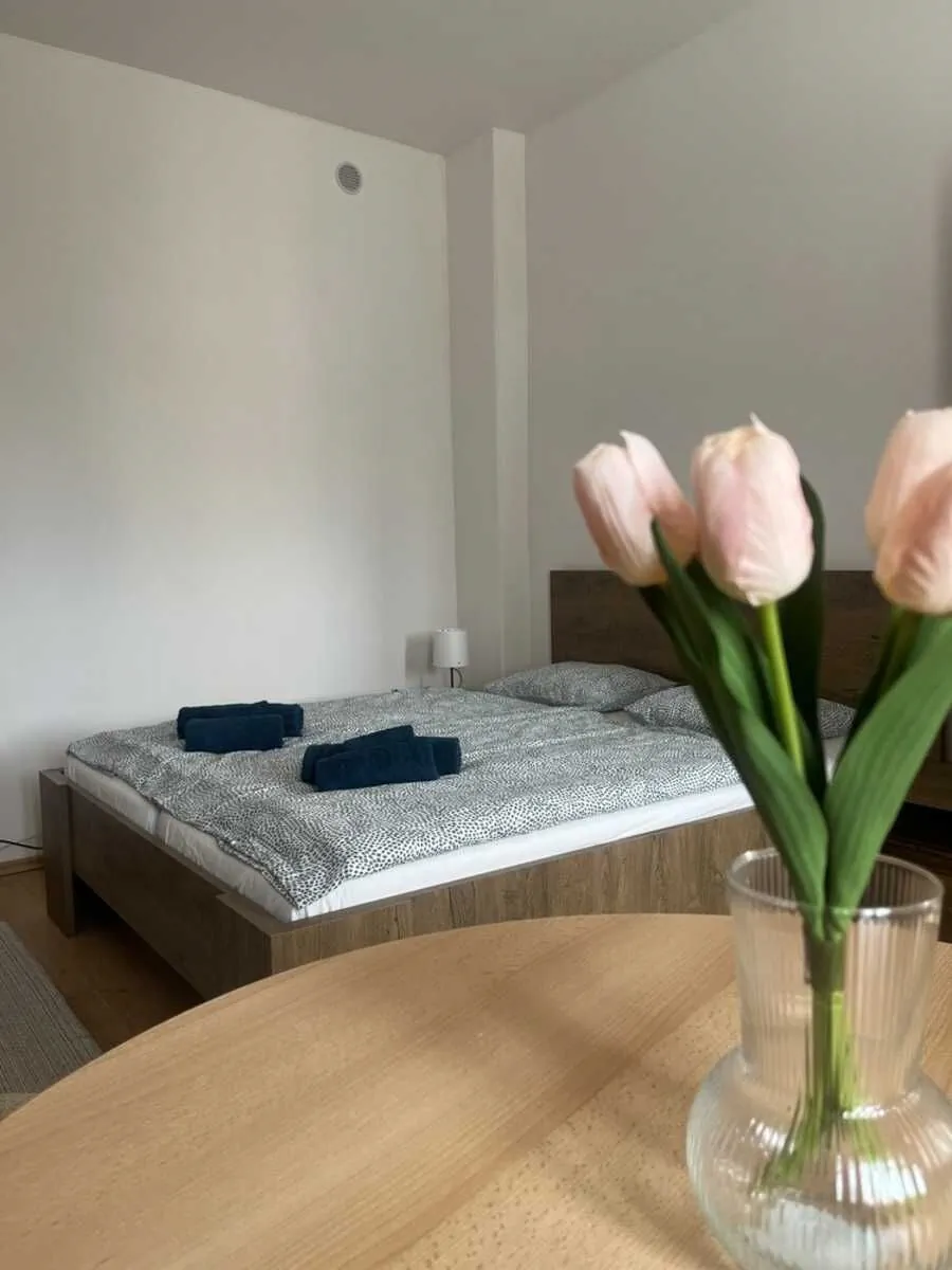Apartmán VAJB Jičín – Jičín, Republica Cehă