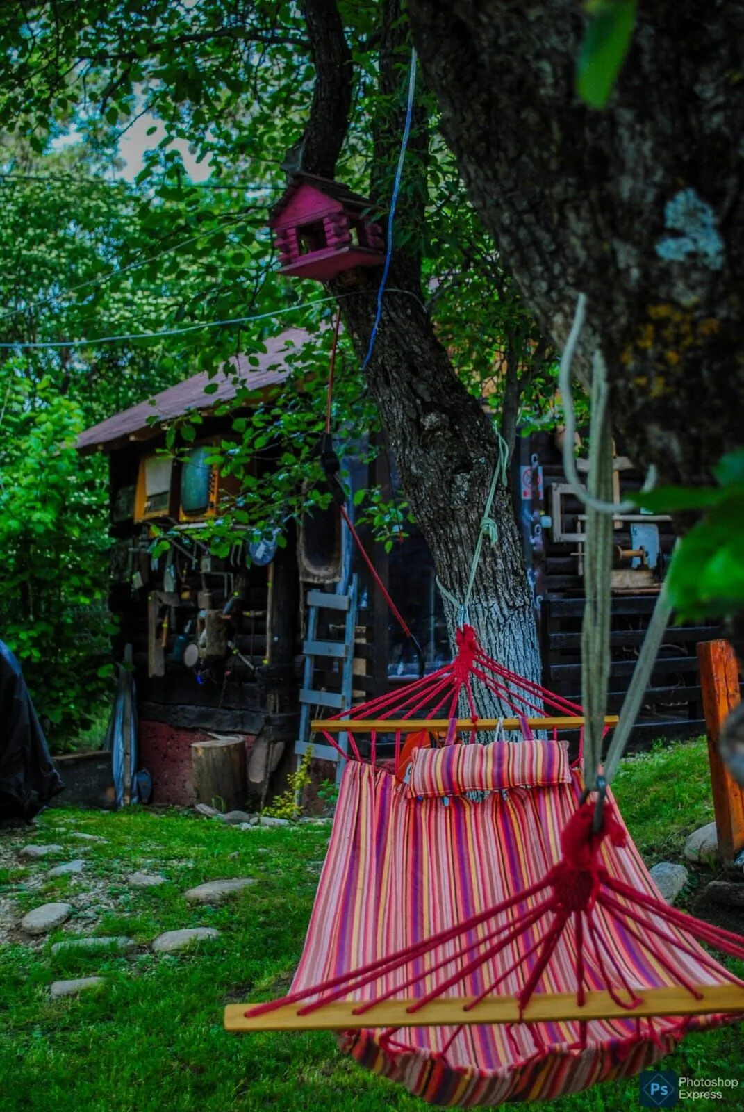 Căsuțele dintre vii Dobrița – Dobrița, România