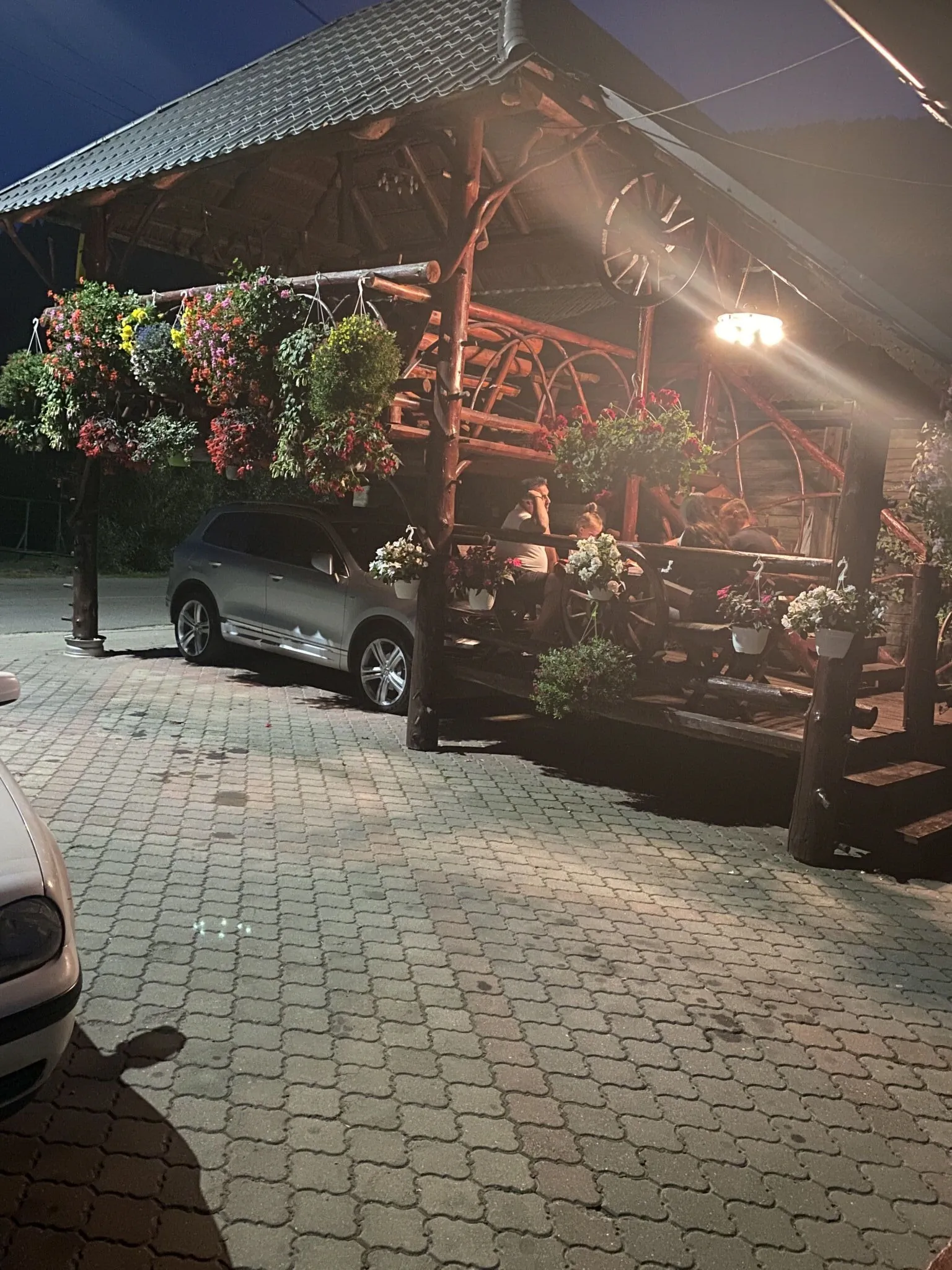 Pensiunea Gaiu Albac – Albac, Rumunsko