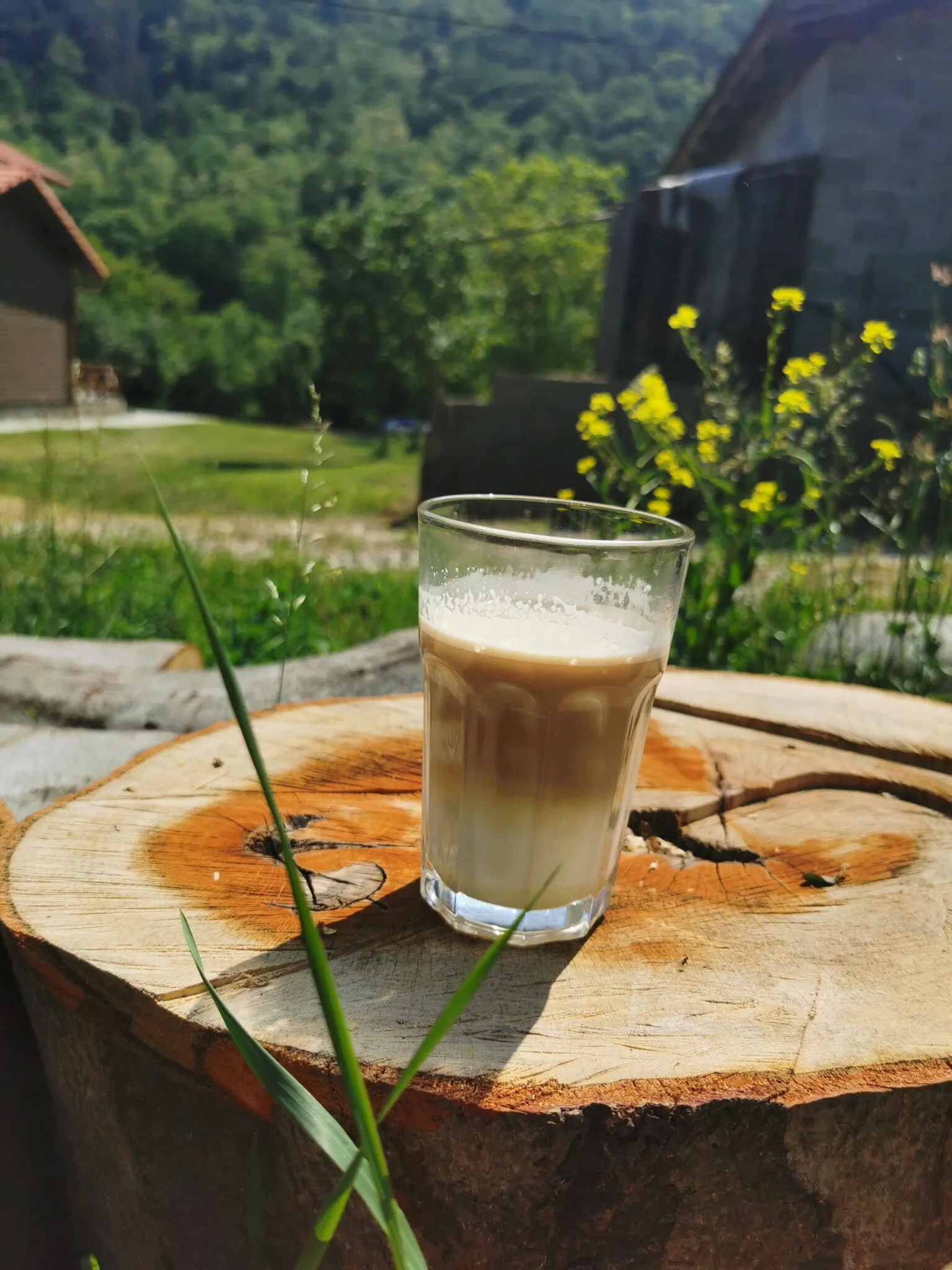 Pensiunea La Nenea Iancu Pianu de Sus – Pianu de Sus, România