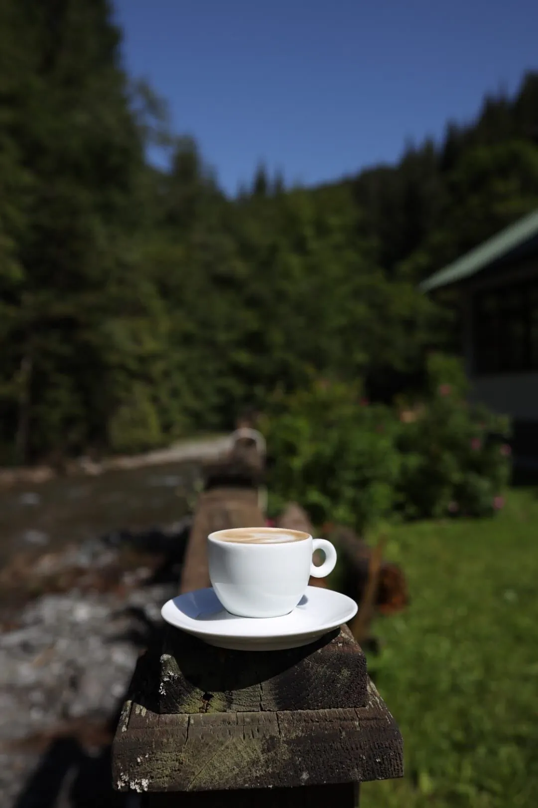 Cabana Brătei Dobreşti – Dobreşti, România