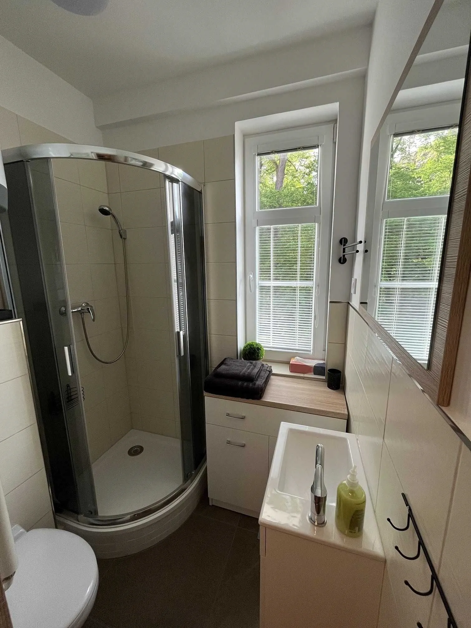 Apartmán Rosa Děčín – Děčín, Česká republika
