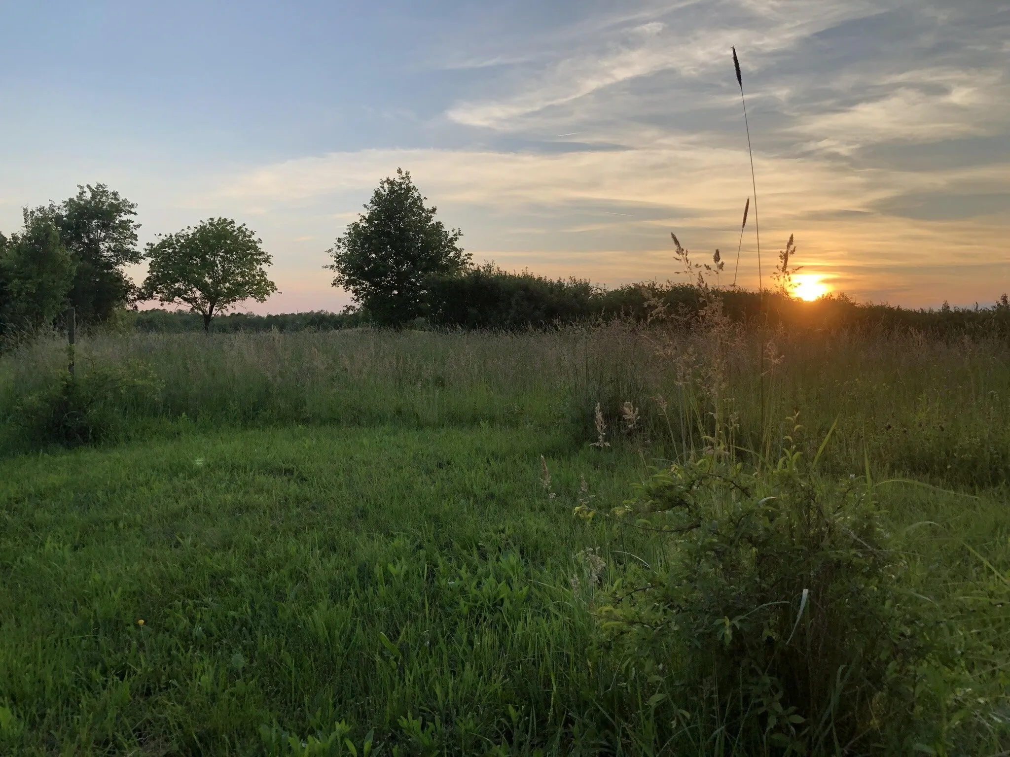 Kékcinke Vendégház az Őrségben Kercaszomor - foto 2