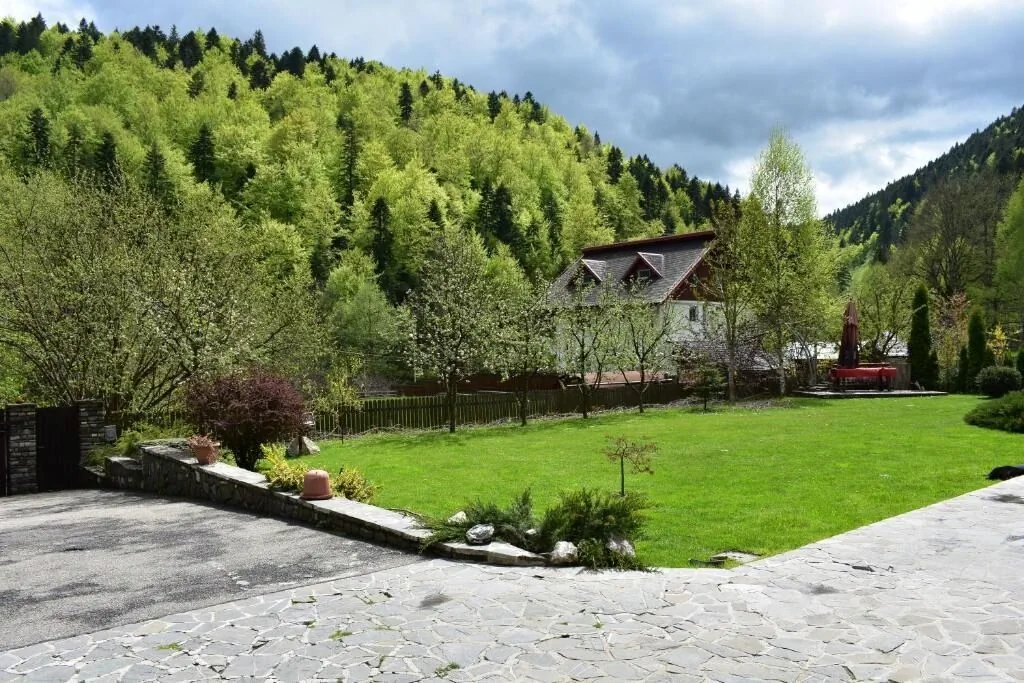 Casa Edelweiss Sinaia - foto 1