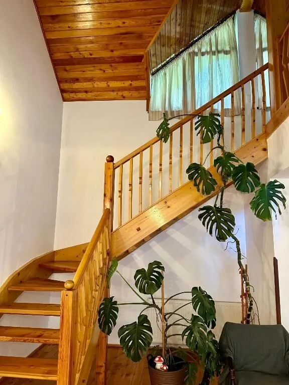 Casa Edelweiss Sinaia - foto 10