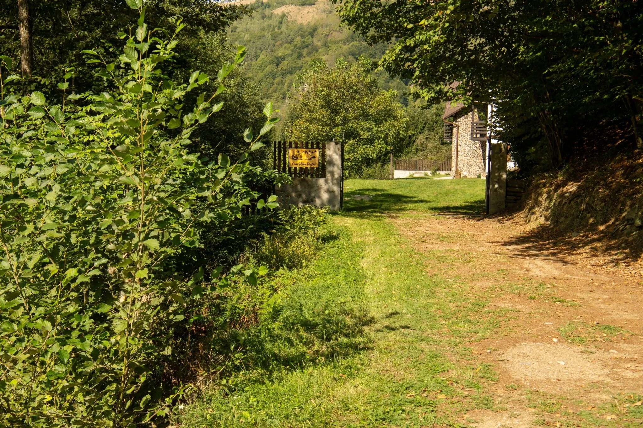 Casa Valea Prejbei Râu Sadului - foto 1