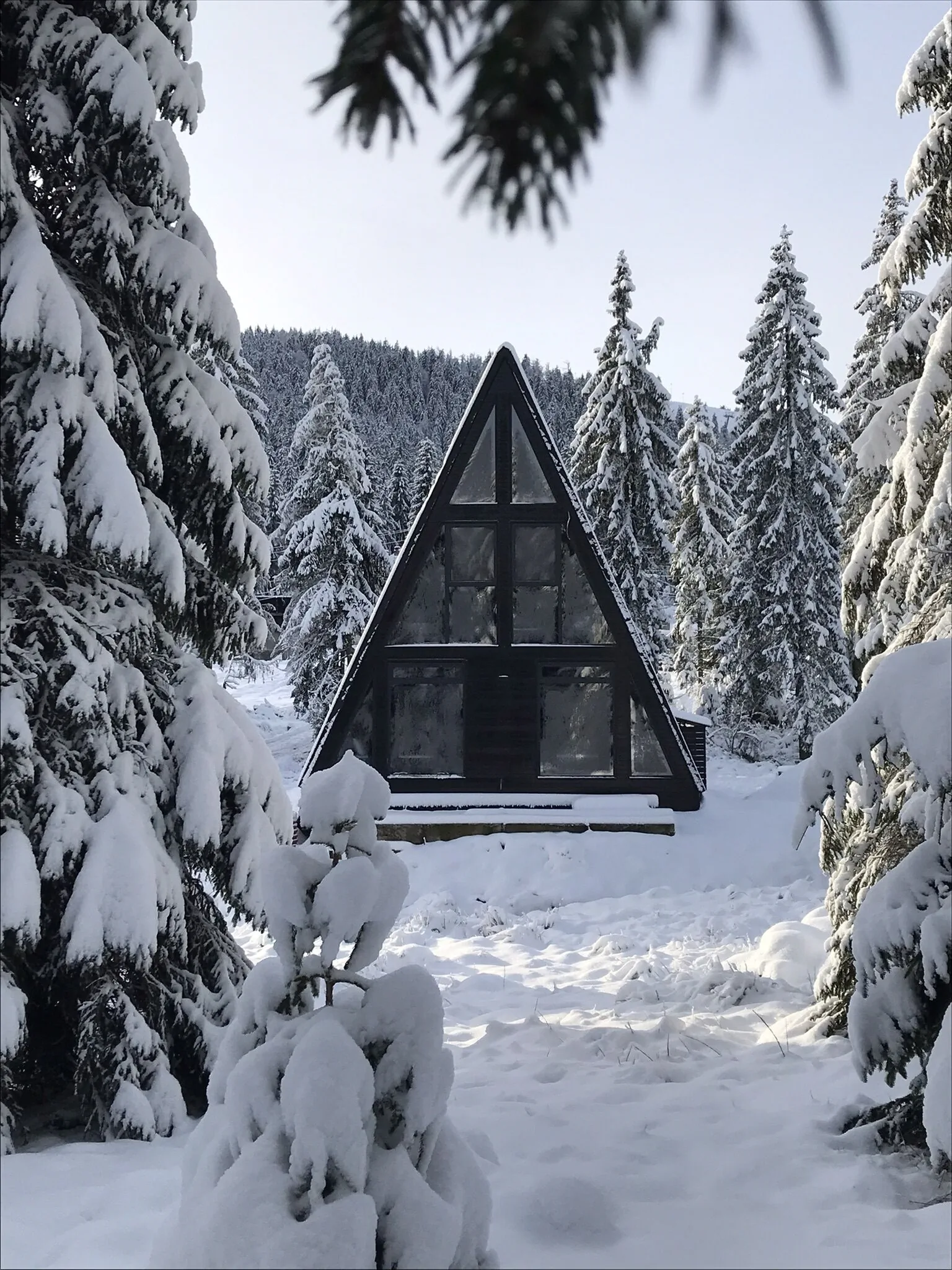 Black Chalet Apuseni Vârtop – Vârtop, România