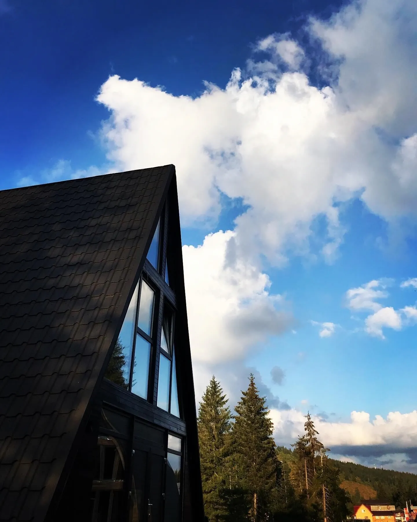 Black Chalet Apuseni Vârtop – Vârtop, România