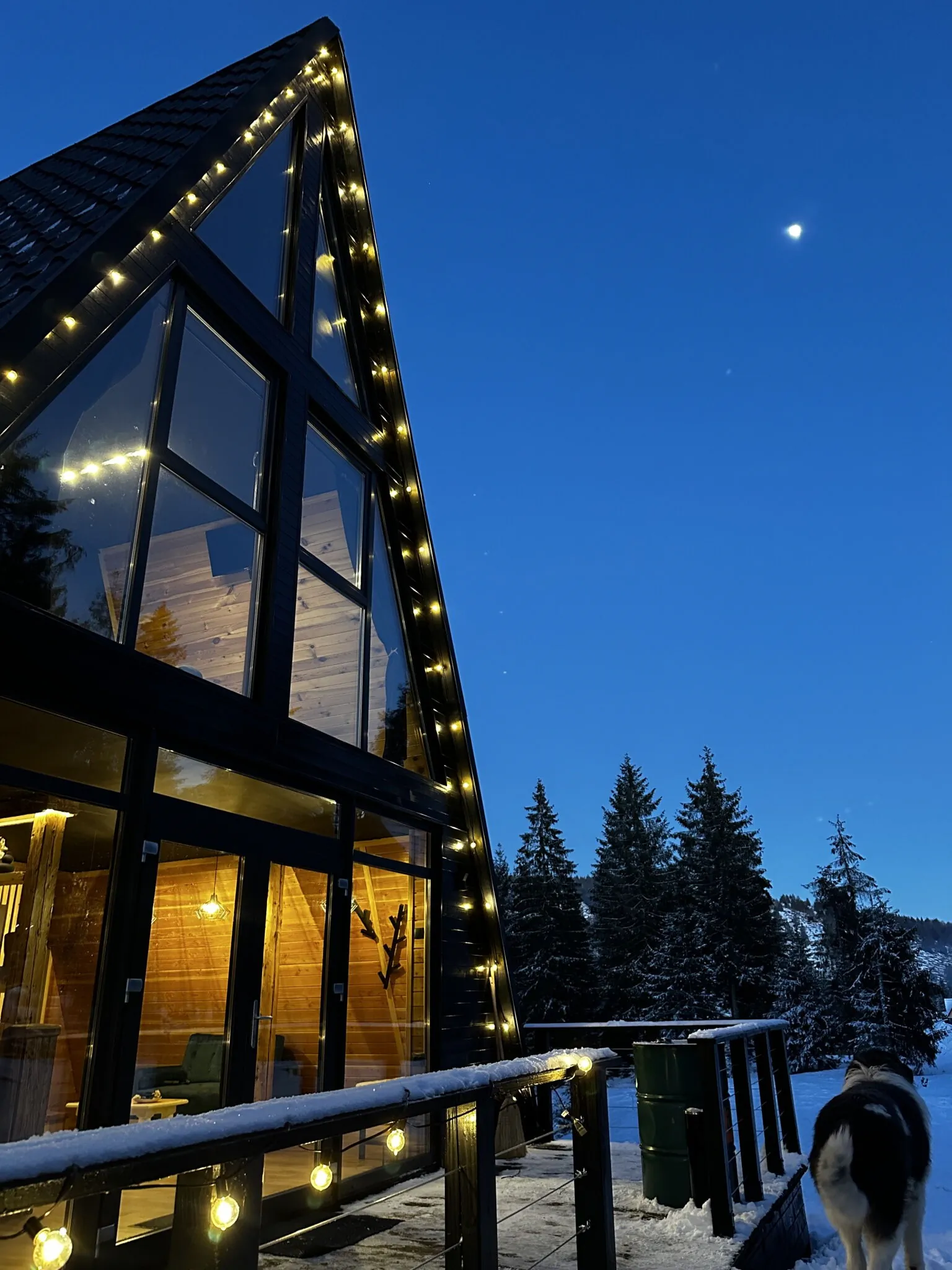 Black Chalet Apuseni Vârtop – Vârtop, România