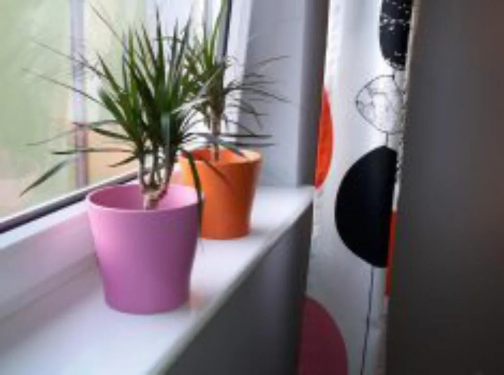 Apartamenty Sedinum - Brama Portowa – Szczecin, Polonia