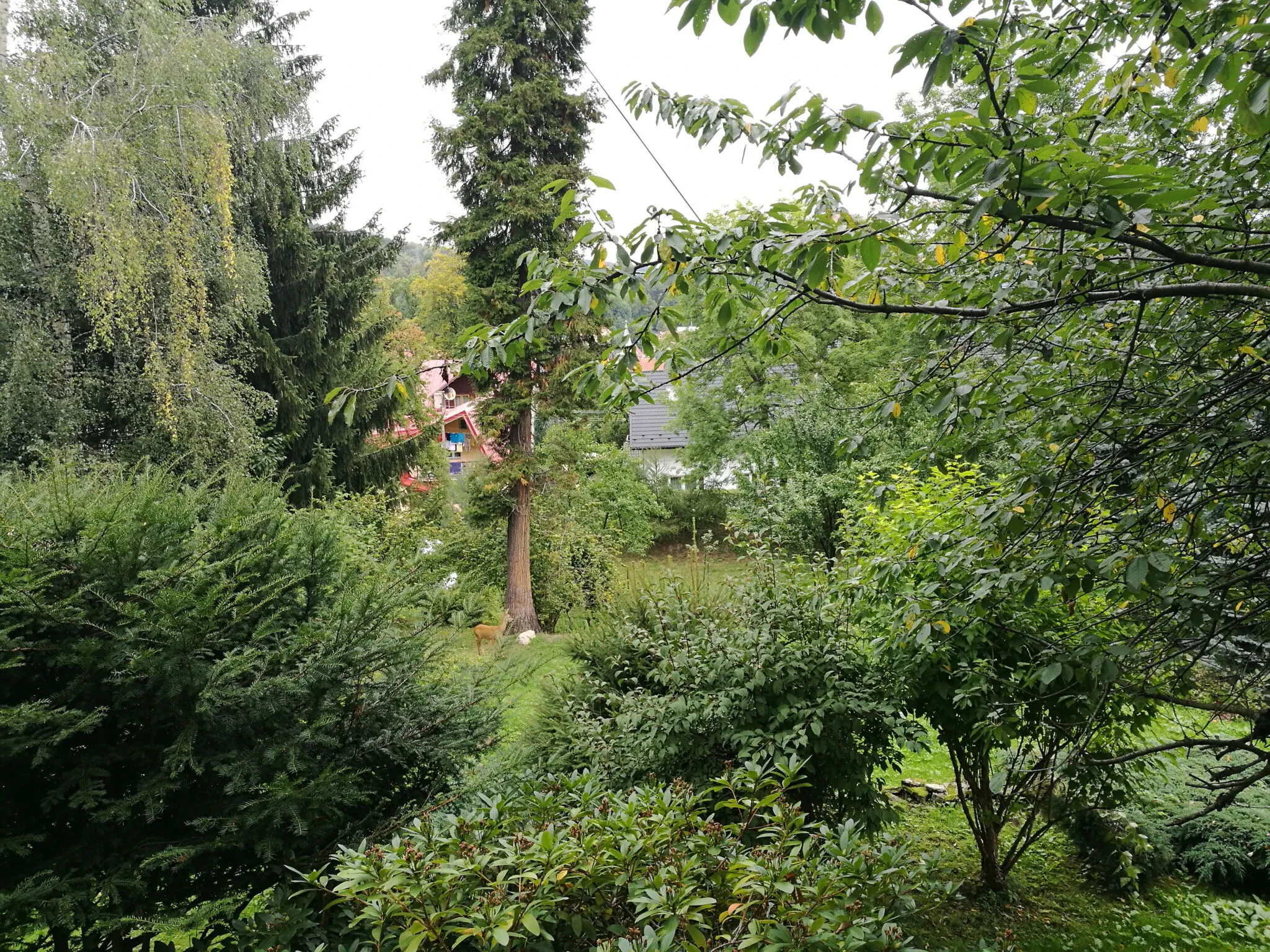Sielsko Anielsko – Szklarska Poręba, Polska
