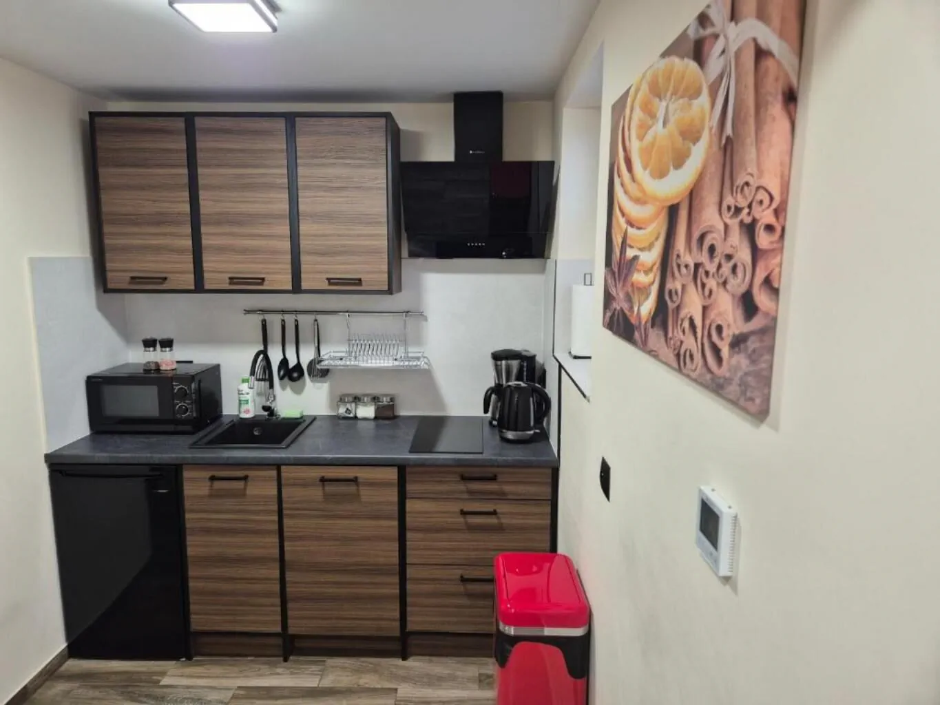 Villa-Harmony Ustroń – Ustroň, Polsko