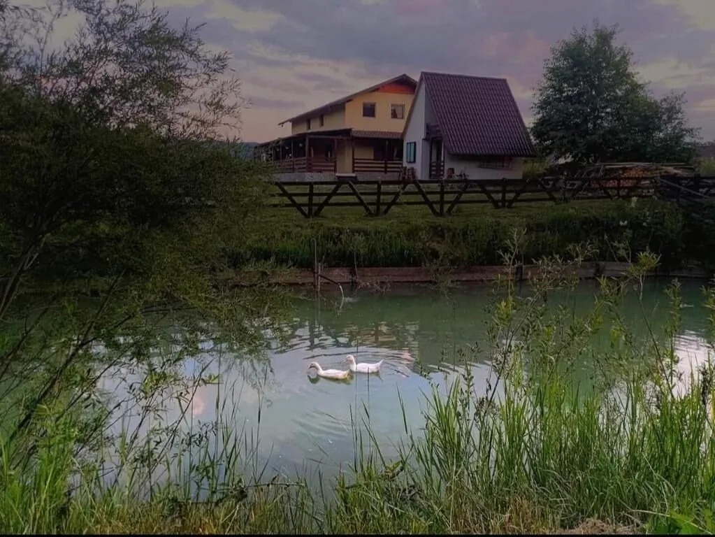 Căsuța de la Râu Râșca - foto 1