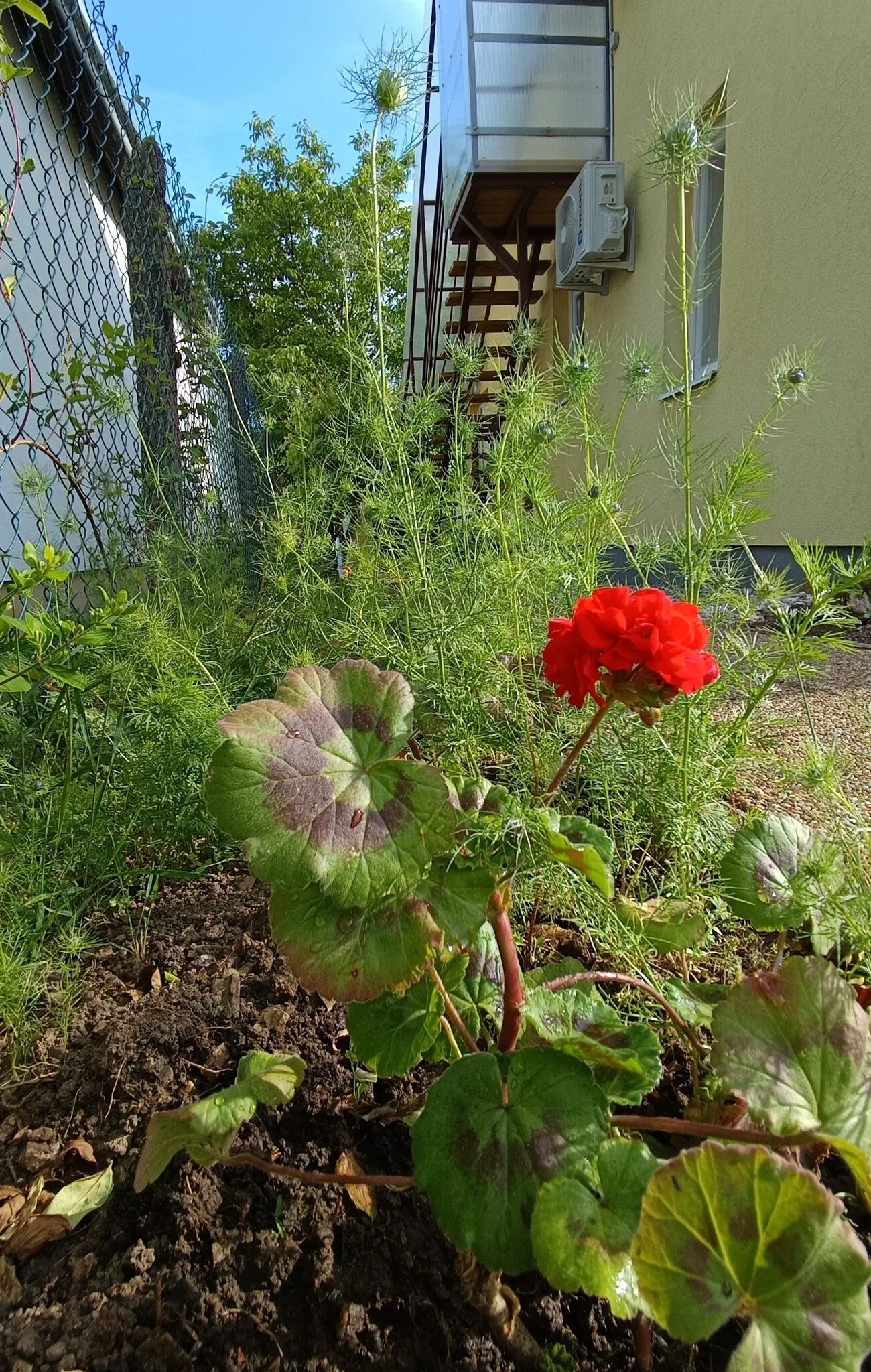 Lugas Apartman Vonyarcvashegy - foto 4