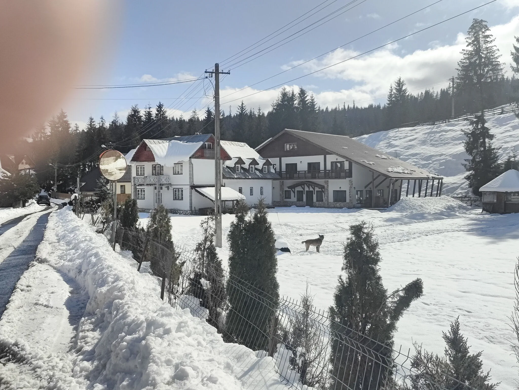 Pensiunea Agroturistică Trei Brazi Arieșeni  – Arieşeni, Rumunsko