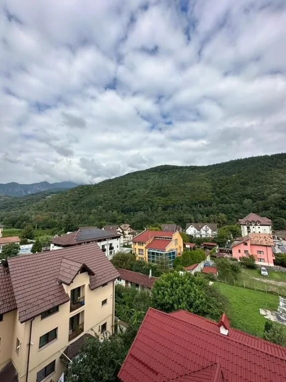 Vila Trandafirul si Liliacul Călimăneşti – Călimăneşti, România