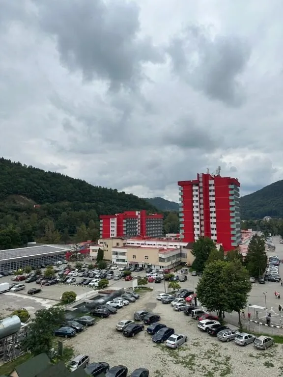 Vila Trandafirul si Liliacul Călimăneşti – Călimăneşti, România