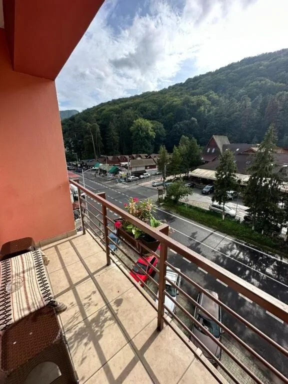 Vila Trandafirul si Liliacul Călimăneşti – Călimăneşti, România