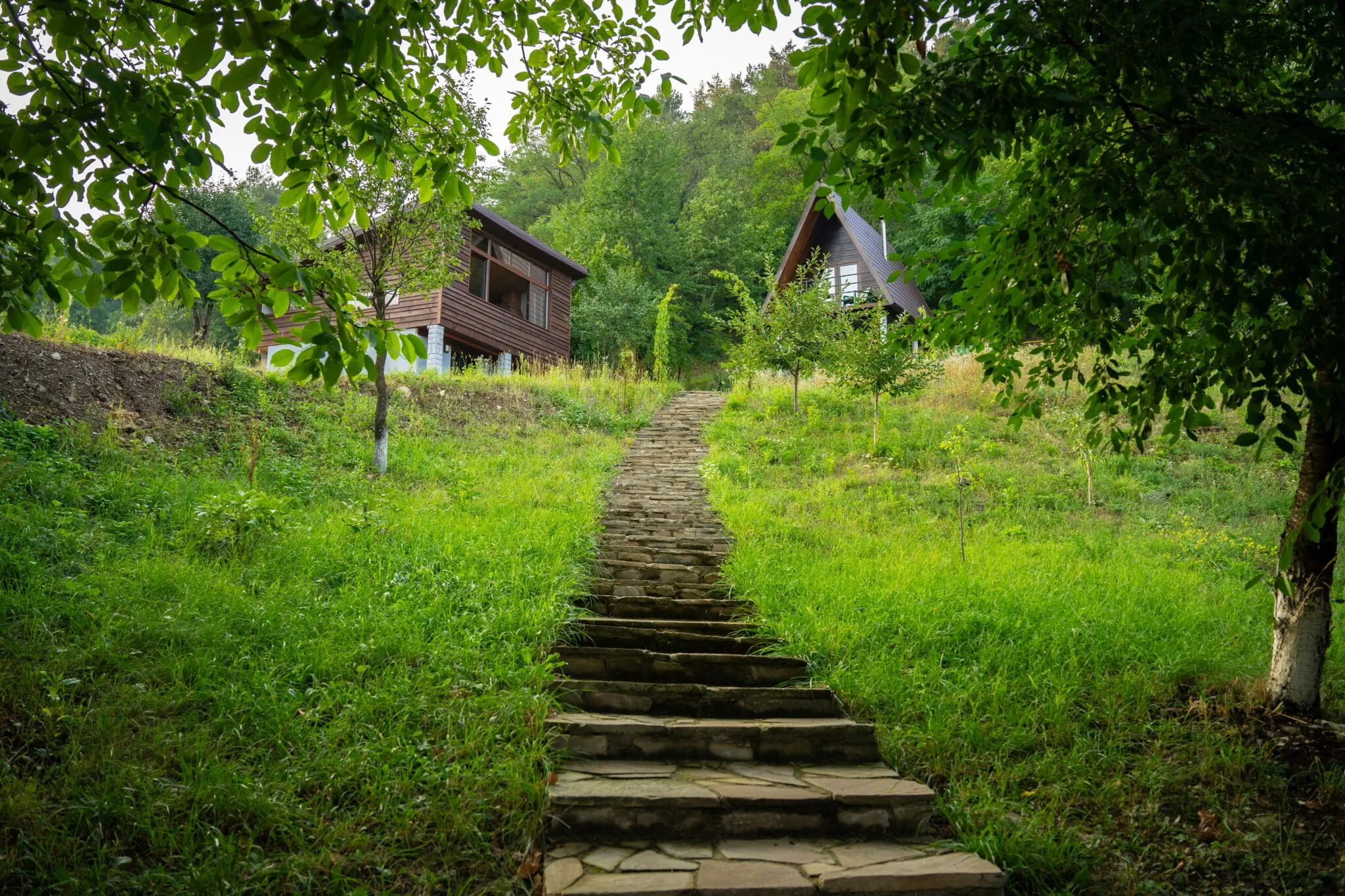 Open View Place A frame Pângărăcior – Pângărăcior, România