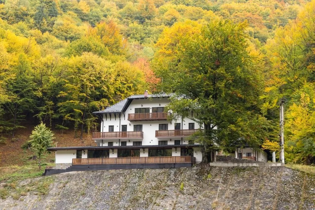 Pensiunea Poiana Mucenicului Arefu - foto 1